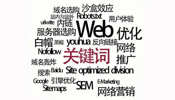莘县SEO快排服务快速上首页的背后
