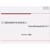 莘县wordpress搭建网站