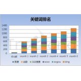 莘县如何防止SEO关键词排名下降