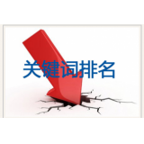 莘县网站关键词排名下降原因有哪些